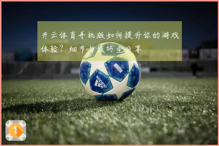 开云体育手机版如何提升你的游戏体验？细节与技巧全分享