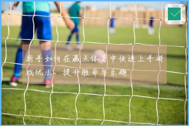 新手如何在赢点体育中快速上手游戏玩法，提升胜率与乐趣